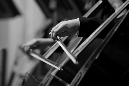 Due Violoncelli